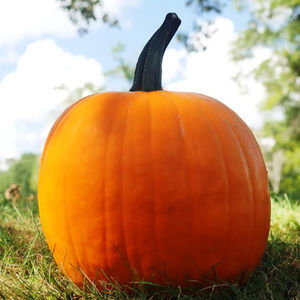 Meet your Posher, Unfound